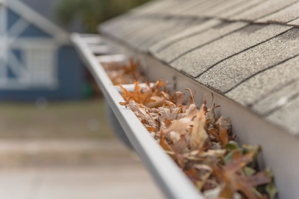 Leaf Barrier Installation in Hendersonville